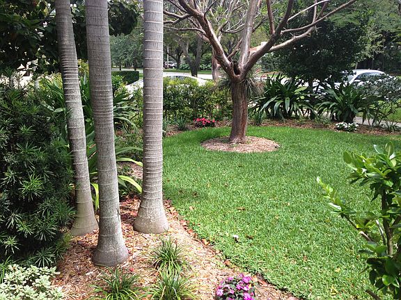 Front yard.