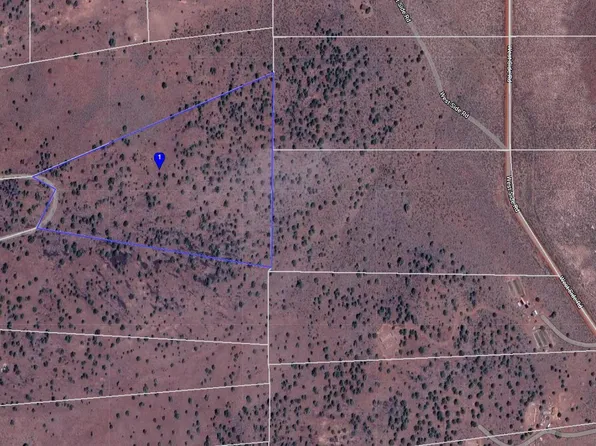 0 Elk Rd, Termo, CA 96132