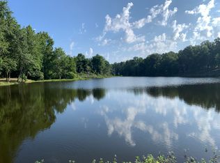 2880 Sparkleberry Landing Rd, Pinewood, SC 29125