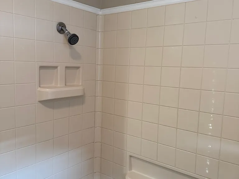 Shower & tub