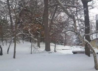3rd image of 674 Laverne Dr