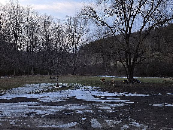 2nd image of 205 Leander Rd