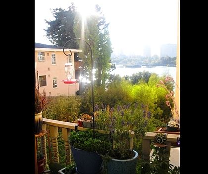 2nd image of 441 Merritt Ave APT 201