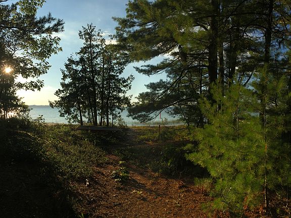 wooded lot-room for house