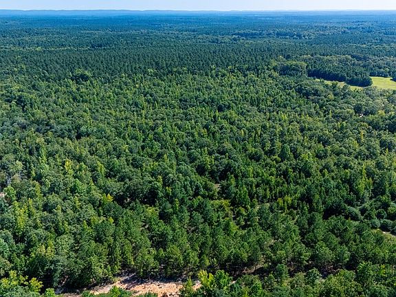 5th image of 0 Branch Hebron Rd