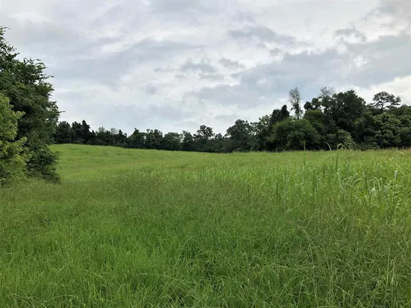 236 Loop Rd, Parrottsville, TN 37843