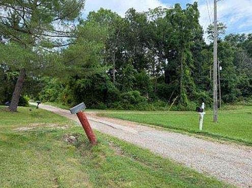 4th image of 66 Rice Ln