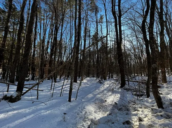 00 Jay Road, Townshend, VT 05363