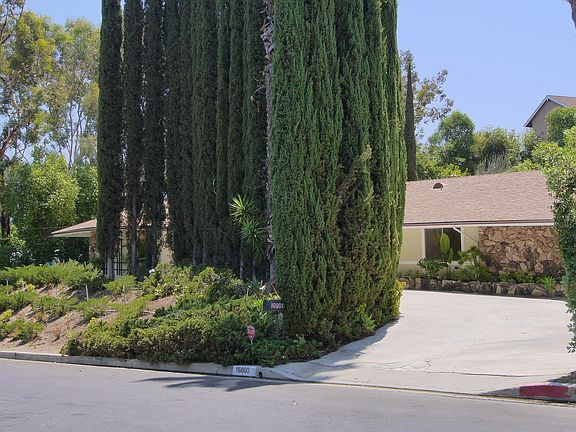 3rd image of 16860 Bosque Dr