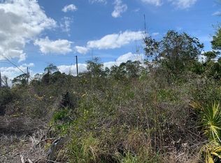 Clay St, Leesburg, FL 34788