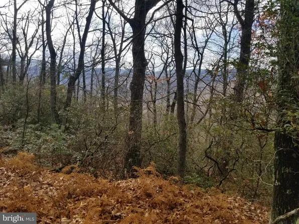 0 Leela Ln, Franklin, WV 26807