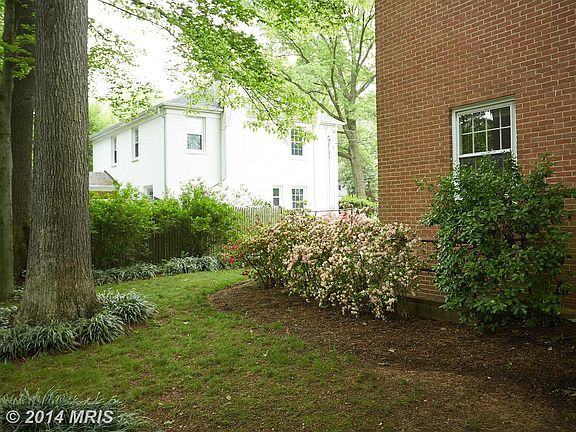 3rd image of 641 Blossom Dr