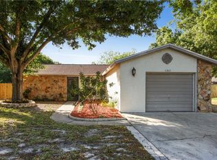 11303 Silverleaf Ct, Riverview, FL 33579