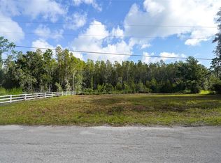 26305 Bluestripe Dr #646, Wesley Chapel, FL 33544