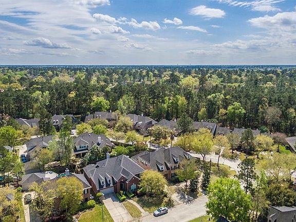 Your home in the forest.