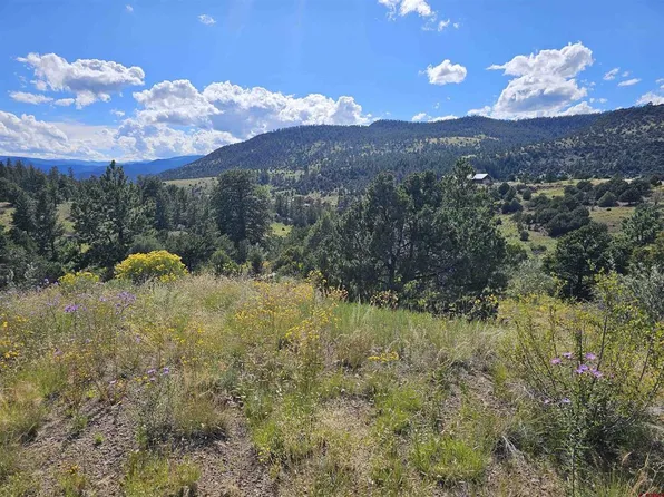 3527 Bear Creek Circle, South Fork, CO 81154