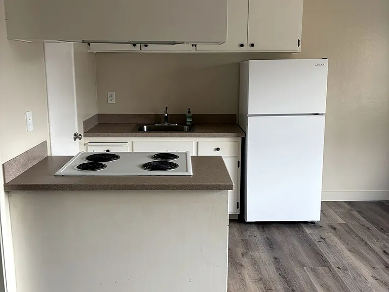 318 Chestnut St #5 — Photo 52