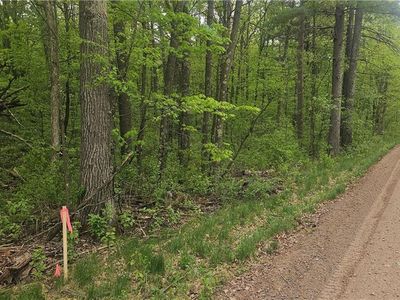 Lot 2 Buckeye Lane, Stone Lake, WI, 54876