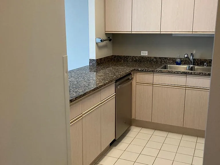 512 N McClurg Ct #1508 — Photo 7