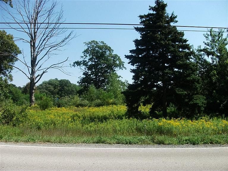 2nd image of Witham Rd
