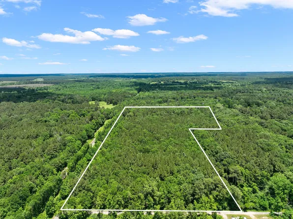 8589 Us Highway 59 N, Livingston, TX 77351