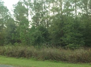 Rainey Run LOT 1, Monticello, FL 32344