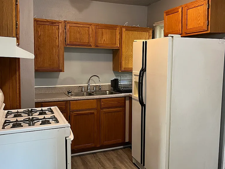 Gas Stove and refrigerator provided