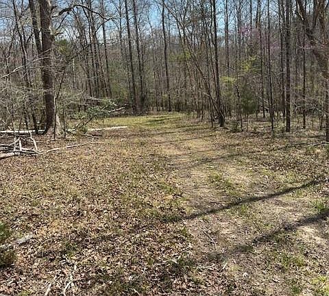 5th image of 0 Seven Island Rd Tract 4