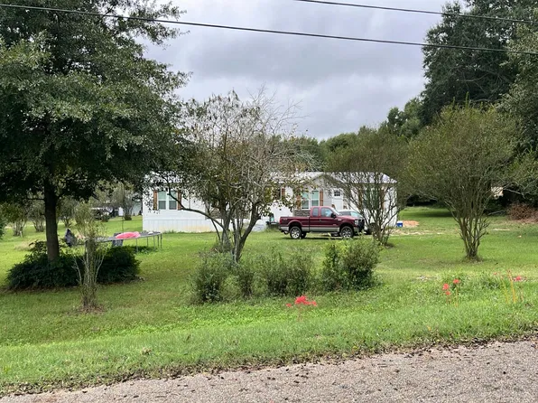 7029 County Road 105, Brundidge, AL 36010
