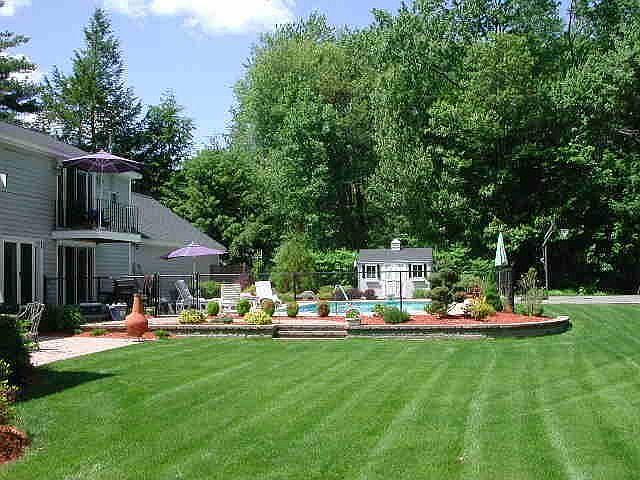 Landscaped back yard