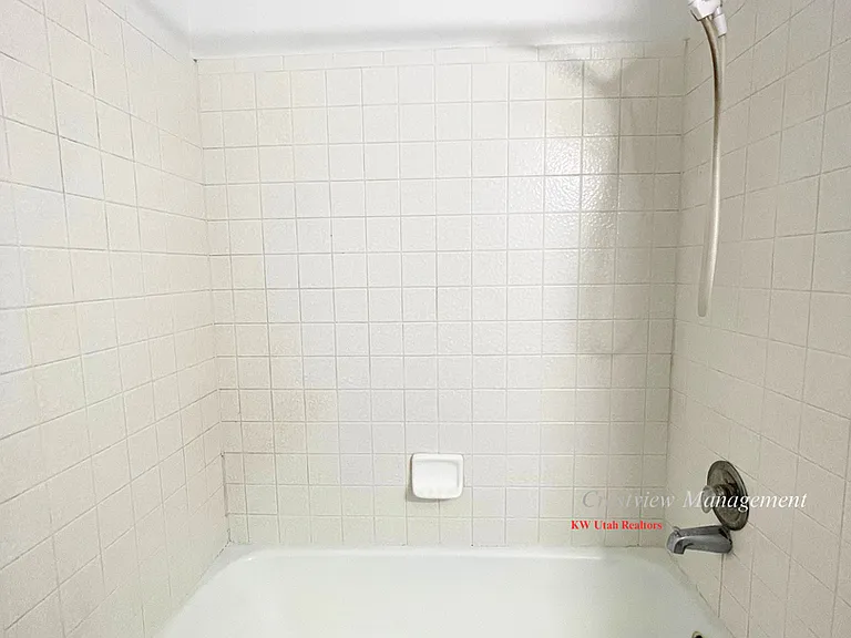 Giles 2670 — Photo 11
