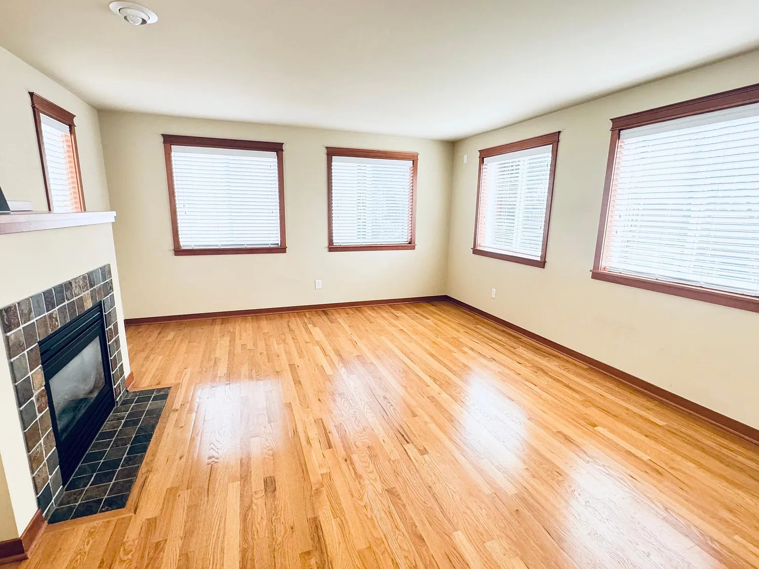 3 bed, 1340 sqft, $3,300 — Photo 3