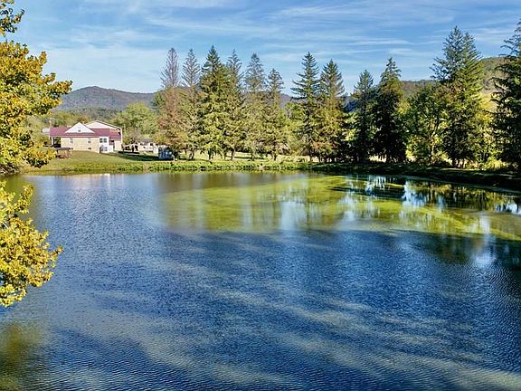 15th image of this home