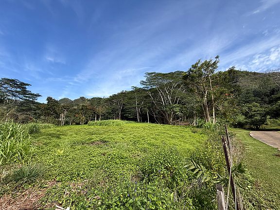 5th image of Kamalu Rd