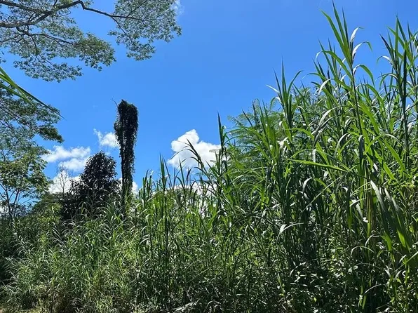 King Kamehameha Blvd Lot 6, Keaau, HI 96749
