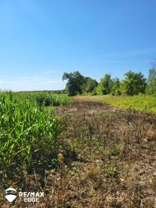 0 Baldwin Rd, Swartz Creek, MI, 48473