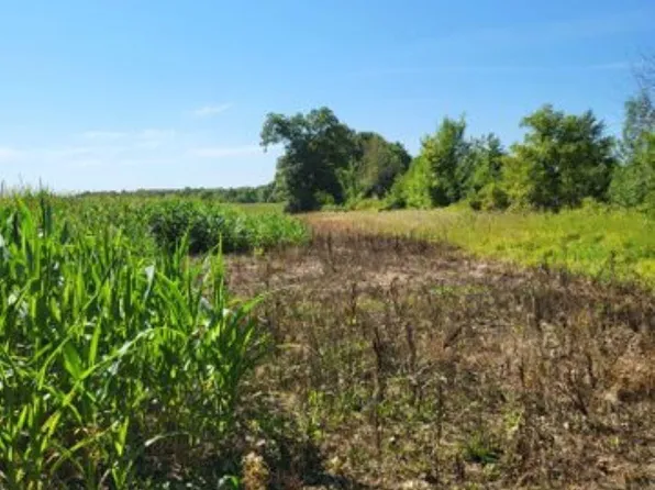 0 Baldwin Rd, Swartz Creek, MI 48473