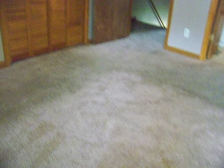 1198 Windham Ct — Photo 12