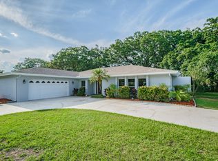 1516 Burning Tree Ln, Brandon, FL 33510