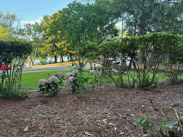 2 bed, 1.5 bath, 800 sqft, $2,575 — Photo 3