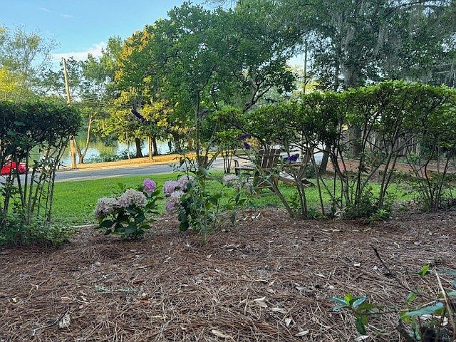Beautiful view of the lake/park