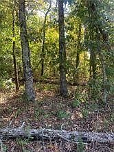 1st image of Letchworth Dr #1