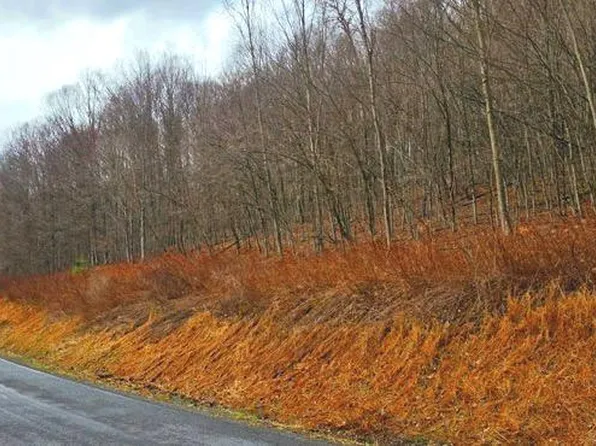 R 1010 Roaring Branch Rd, Ralston, PA 17763