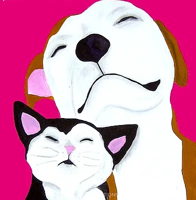 Rented by City Connections Realty | media 45