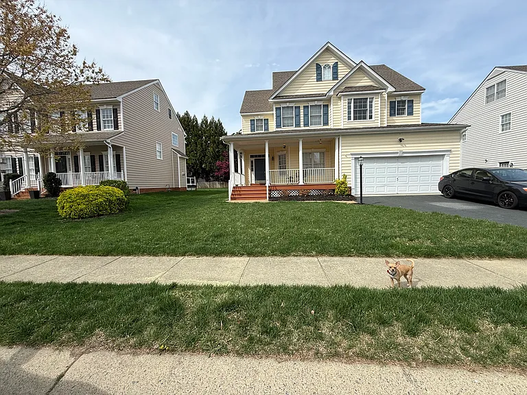 Our home (and Mr. Peanut our Chi)