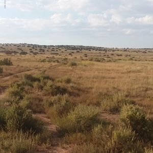 23 Parcel 002 T13n R26e Sec, Concho, AZ, 85924