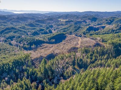 W Deep River Rd, Naselle, WA, 98638