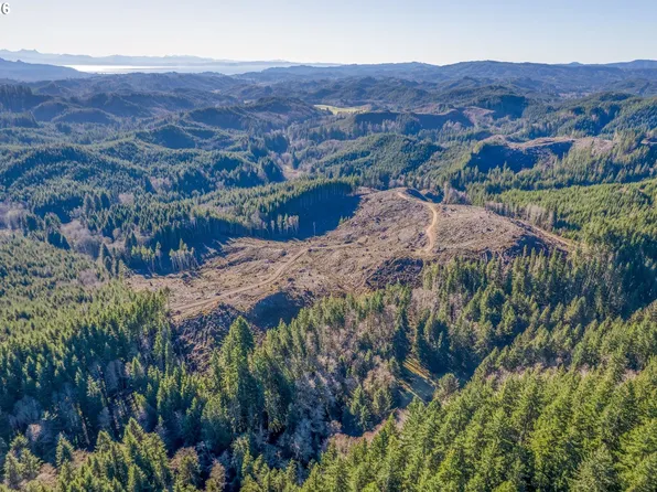 W Deep River Rd, Naselle, WA 98638