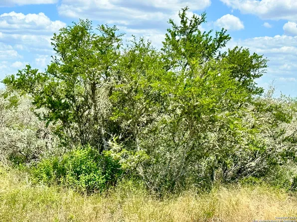 0 County Road 206, San Diego, TX 78384