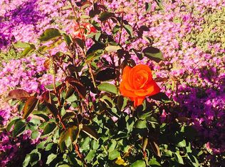 12988 Solera Way, Poway, CA 92064